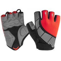 Cycling Gloves