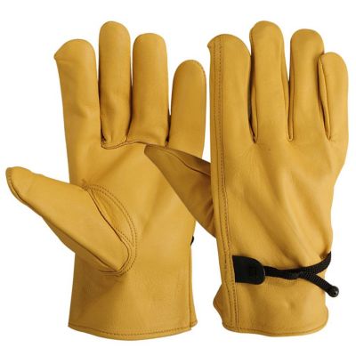 Driving Gloves