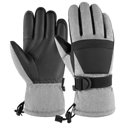 Ski Gloves