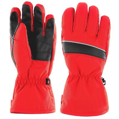 Ski Gloves